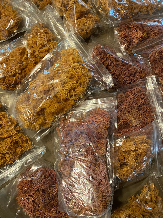 RAW Sea Moss